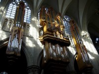 Brusel | Varhany v katedrále
