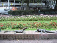 Amsterdam | &quot;Ještěrky&quot; v parku