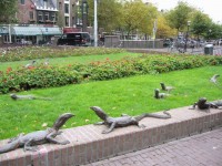 Amsterdam | Víc &quot;ještěrek&quot;